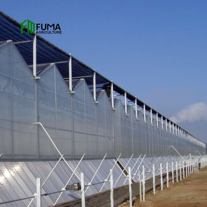 <span class=keywords><strong>Invernadero</strong></span> agrícola hidropónico comercial FM en venta - Product Image 2