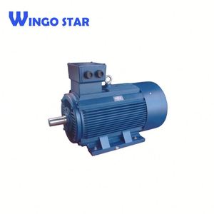 Trifásico <span class=keywords><strong>rotor</strong></span> bobinado inducción motor eléctrico AC - Product Image 5