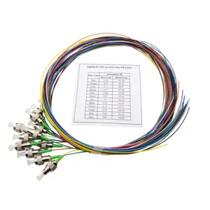 12 Color Fiber Cores FC APC Single mode G652D 1meter 0.9mm fc 12 fiber pigtail
