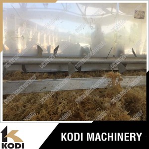 <span class=keywords><strong>KODI</strong></span> continua de la correa de malla de algas marinas de la máquina de procesamiento - Product Image 6