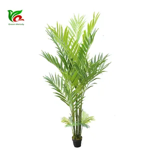 Commercio all'ingrosso real touch materiale plastico falso naturale raphis palm Artificial Kentia Palm deluxe