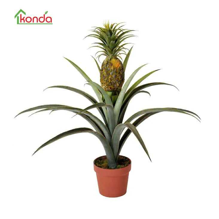 Artificial plant pineapple/ Ananas comosus large tropical fruit as real plant