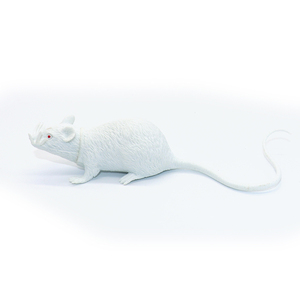 Funny Custom 3D Simulation <strong>Mini</strong> Plastic <strong>Mouse</strong> Figurine Educational Animal <strong>Toys</strong> for Learning - Product Image 5