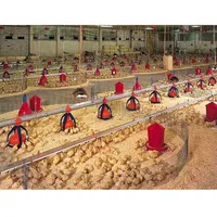 Bâtiments de ferme de volaille, fil de construction industriel en acier convient aux poules