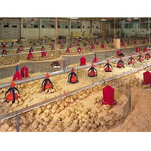 ฟาร์มสัตว์ปีกโครงสร้างอาคารเหล็กโครงสร้างไก่กรง