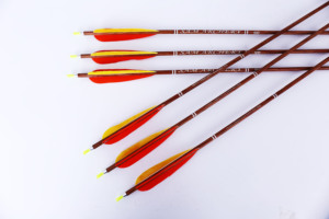 Frecce in Fibra di Carbonio di Alta Qualità per Arco Compound, Fornite da Fabbrica Cinese - Product Image 6