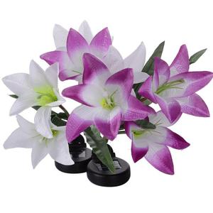 2018 nuevo solar colibrí solar lily paisaje Luz - Product Image 1