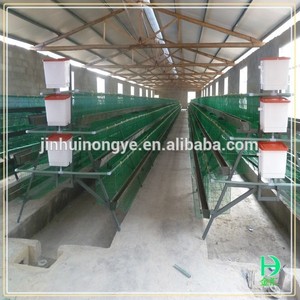 Construire chicken coop, Big bird cages, Le plus bas pricestainless acier oiseau cage de poulet grillage - Product Image 5