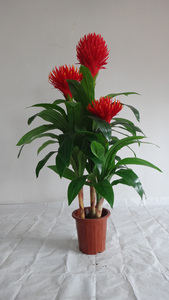 por mayor decoración del hogar árbol <span class=keywords><strong>bonsai</strong></span> artificial plástico plantas artificiales <span class=keywords><strong>bonsai</strong></span> hecho a mano artificial <span class=keywords><strong>bonsai</strong></span> - Product Image 2