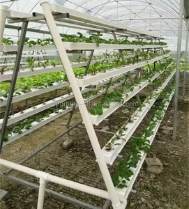 greenhouse hydroponic vegetables vertical farming PVC pipe system