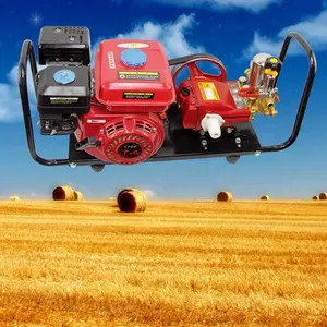 农业花园喷雾器，手动柱塞泵汽油机动力喷雾器与活塞泵 KXF-168