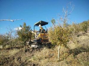 <strong>SANY</strong> Group SY16C Professional China 1.7 Ton Mini Backhoe Wheeled Crawler <strong>Excavator</strong> 1.7T - Product Image 5