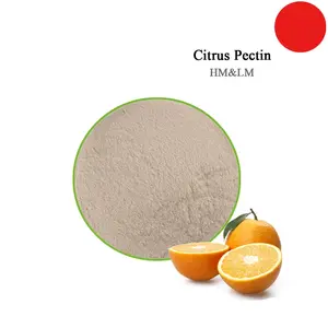 Citrus pectin*fresh fruit flavor**made in China***25kg drum packing citrus pectin