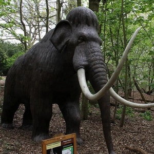 Life Like Animatronic Zoo <span class=keywords><strong>Animal</strong></span> Model à vendre - Product Image 3