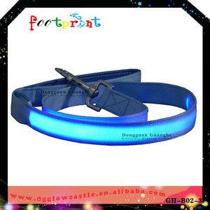 Double sites clignotant bande de chien brillant plomb laisse <span class=keywords><strong>Nylon</strong></span> clignotant chien bande chine fabricant le plus <span class=keywords><strong>bas</strong></span> prix - Product Image 1