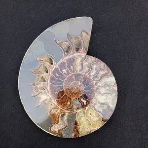 Di grandi dimensioni in pietra di cristallo lumaca conchiglia fossile ammonite fossil per la vendita