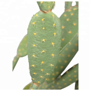 Planta de <span class=keywords><strong>Cactus</strong></span> Artificial de 66 cm con Aspecto Natural para Decoración de Tiendas - Product Image 4