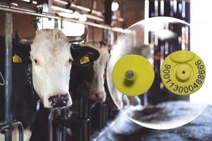 1342kHz RFID động vật gia súc lợn đánh số thẻ tai cho bò dê thỏ lợn cừu động vật Tai tag eartags chăn nuôi hệ thống - Product Image 5