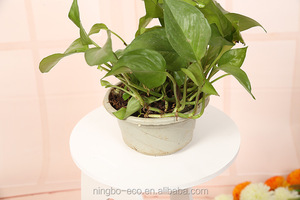 Eco-friendly Wooden Rack Holder for Magazine White Round Side Wooden Coffee <strong>Table</strong> <strong>with</strong> Drawer <strong>Shelf</strong> - Product Image 5