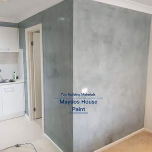 Pintura de Textura de Cemento, Revestimiento de Pared de Hormigón Pulido - Product Image 2