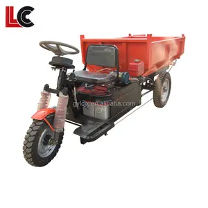 Motocicleta de tres ruedas de carga para agricultura, CC