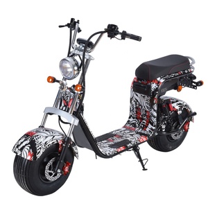 Véhicule électrique à grandes roues moderne cee 1500W 2000W, batterie puissante pour Scooter amovible, Stock d'entrepôt en Europe - Product Image 1