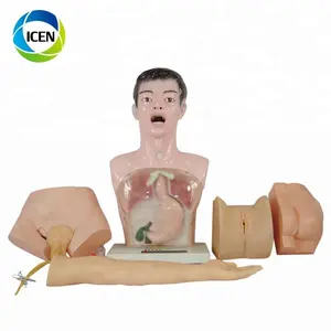 IN-405 医疗模拟器护士实践 Manikin 女/男半身成人儿童手术护士基本实践教学模型