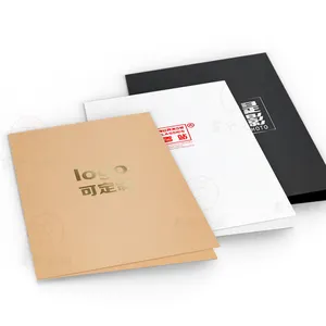 Carpeta de archivos de estilo simple, logo de estampación en oro caliente de cartón personalizado, cubierta de informe a4 con logotipo de lámina dorada