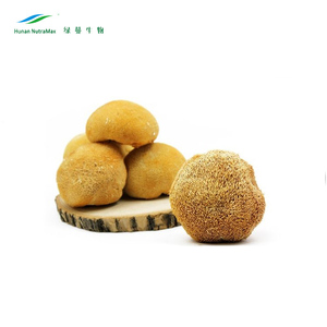Polisaccaridi della polvere dell'estratto del fungo della criniera del leone del produttore della cina per gli integratori alimentari - Product Image 2