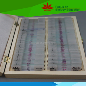 Phổ biến <span class=keywords><strong>100</strong></span> cái mô học Slide thiết lập cho Giải Phẫu và sinh lý học khóa học của Trường Đại Học, giải phẫu tisse SLIDES - Product Image 2