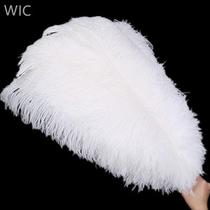 <span class=keywords><strong>Plumes</strong></span> d'autruche noires 28-30 pouces/70-75 cm, décoration économique, <span class=keywords><strong>plumes</strong></span> d'autruche blanchies - Product Image 1