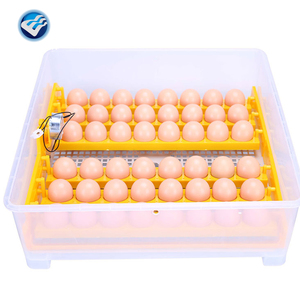 Incubateurs à œufs <span class=keywords><strong>Brinsea</strong></span> 96 à vendre au Canada - Product Image 6