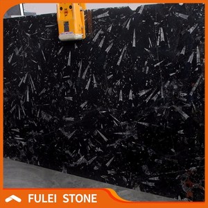 Pulido fósiles mármol negro con vetas blancas precio losas - Product Image 5