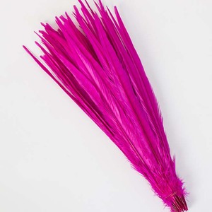 Màu Sắc khác nhau Pheasant <span class=keywords><strong>Feather</strong></span> Nhà Máy cung cấp Tẩy Trắng và Nhuộm Ringneck Gà Lôi Đuôi Lông Màu Xanh Lá Cây - Product Image 2