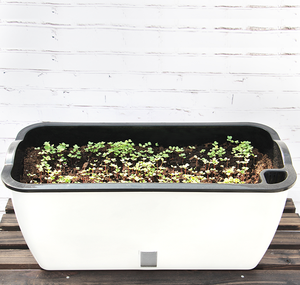 Nexuiz — pots de fleurs en plastique, pot <span class=keywords><strong>pour</strong></span> <span class=keywords><strong>plantes</strong></span> de jardin à domicile et avec arrosage automatique <span class=keywords><strong>pour</strong></span> <span class=keywords><strong>plantes</strong></span> <span class=keywords><strong>d</strong></span>'<span class=keywords><strong>intérieur</strong></span> - Product Image 4