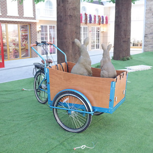 <span class=keywords><strong>Vélo</strong></span> cargo électrique Hi-ten / tricycle à trois roues pour adulte, tricycle électrique à trois roues, <span class=keywords><strong>vélo</strong></span> à glace UB-9032E en acier - Product Image 6
