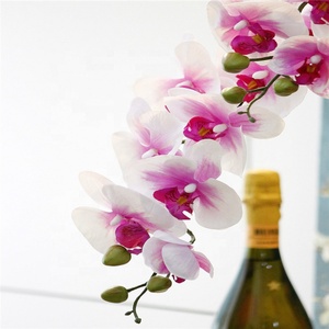 Orquídea Artificial <span class=keywords><strong>de</strong></span> tacto Real, blanca, púrpura, <span class=keywords><strong>de</strong></span> alta calidad, L-1006, para decoración del hogar - Product Image 5