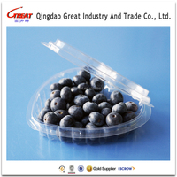 Plastic Hartvormige Bakje Voor Bosbessen, Clear Blister Fruit Clamshells 125 Gram