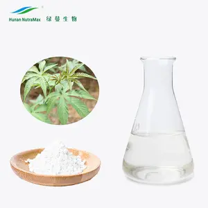 Rubus Leaf Extract Powder Rubus suavissima foglia dolce cinese 70% rubusosidi