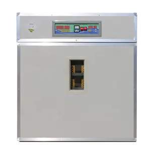 Large capacity China factory 500 eggs incubator for hatching chicken eggs for Tanzania