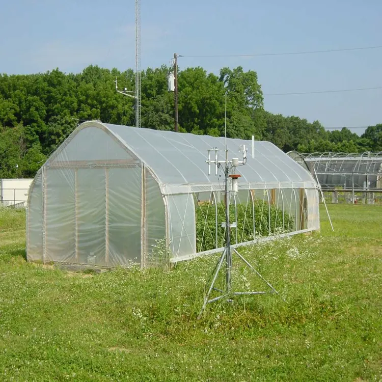 single film span Uv Protection Plastic Greenhouse for vegetables