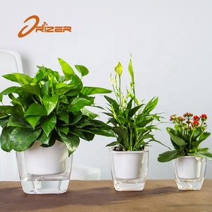 De jardinería decoración de plástico <span class=keywords><strong>rosa</strong></span> de oro de <span class=keywords><strong>la</strong></span> flor olla soporte - Product Image 5