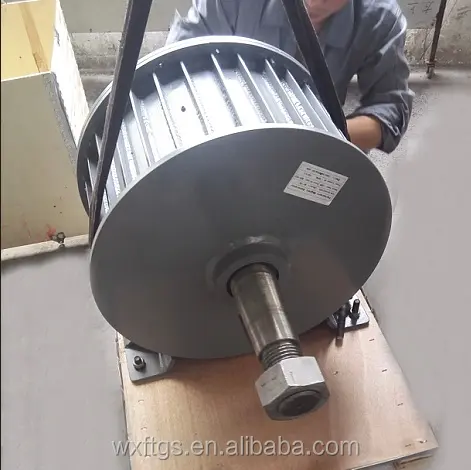 10kw zeldzame aarde permanente magneet generator gemaakt in China