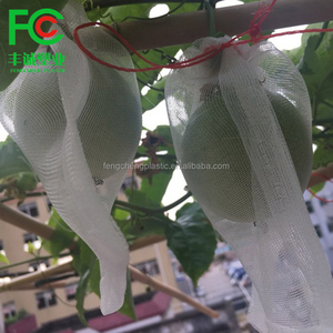 Muestra gratis de gran tamaño transparente de red de insectos proveedor de frutas de la agricultura blanco bolsa de malla de barrera bolsa de red - Product Image 4