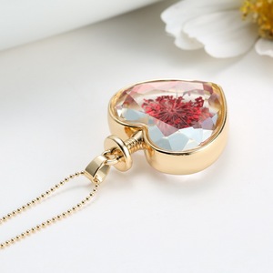 Regalos del Día de San Valentín flor real cristal corazón transparente Marco de vidrio creativo collar - Product Image 3