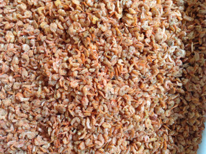 Trieuse de couleur CCD pour crevettes, sélecteur de crevettes, machine Angelon - Product Image 4