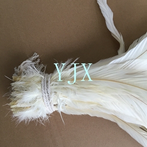 Plumes de poulet blanches longues blanchies en gros, plumes de queue de coq - Product Image 6
