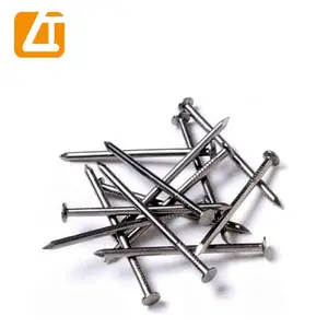 Chiodo comune da 2 pollici in ferro per unghie prezzo in acciaio per unghie in cina per tonnellata