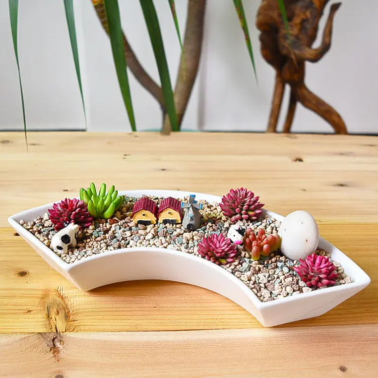 Design creativo Home Desktop decorazione settore Bonsai in ceramica vasi succulenti decorazione per la casa e il giardino bianco moderno smaltato