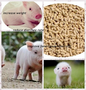 Alibaba fábrica química 98% min formiato de calcio aditivo para alimentación <span class=keywords><strong>animal</strong></span> - Product Image 1